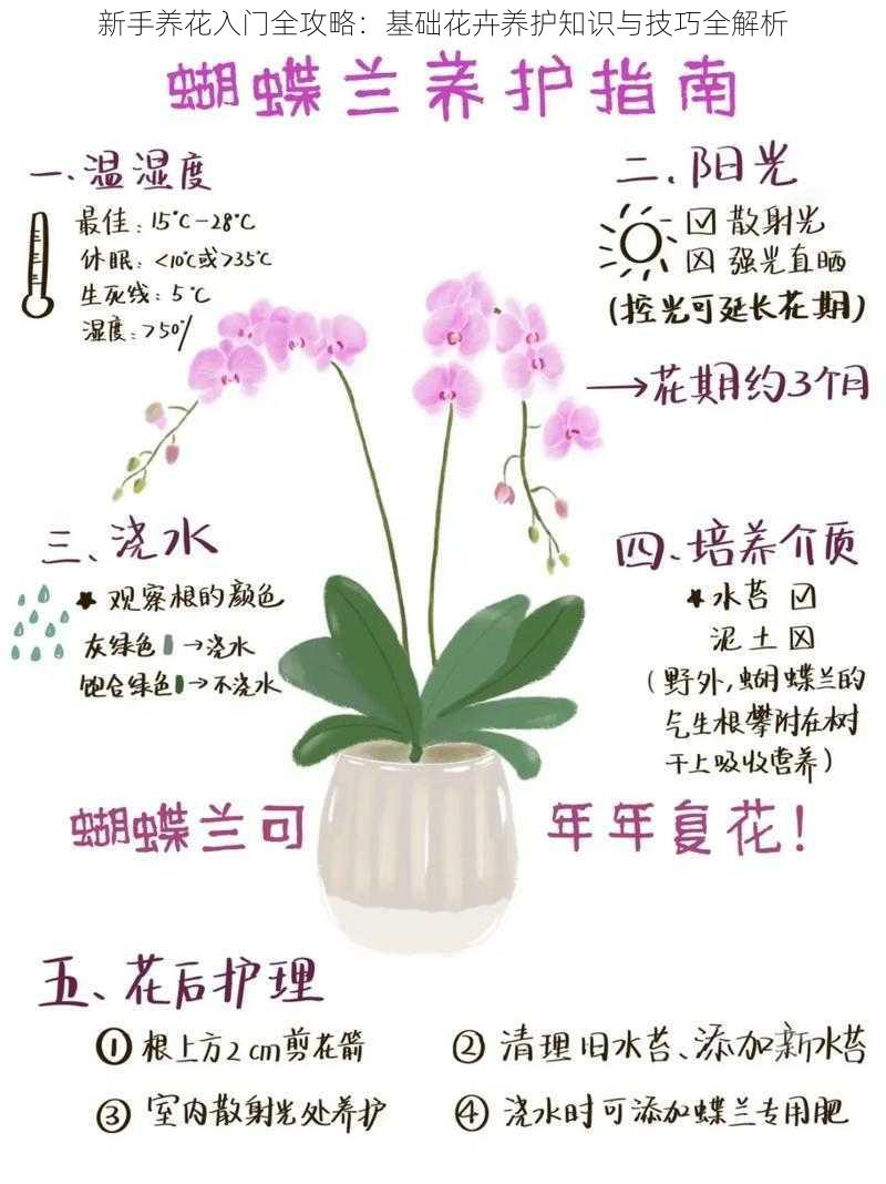新手养花入门全攻略:基础花卉养护知识与技巧全解析