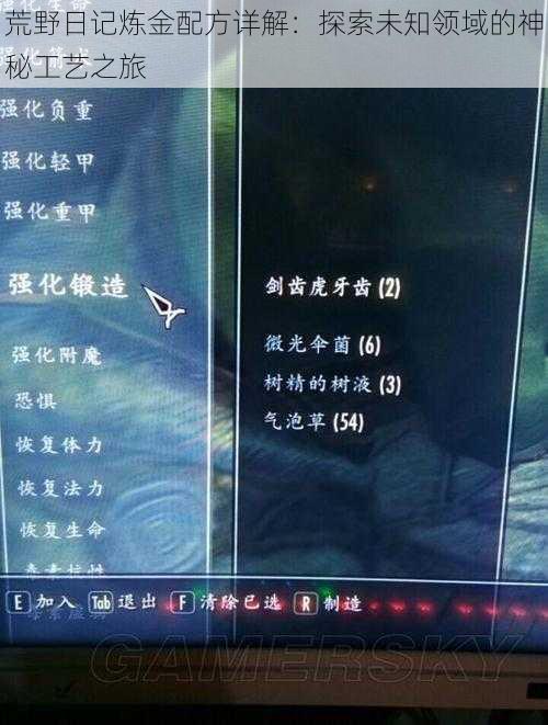 荒野日记炼金配方详解:探索未知领域的神秘工艺之旅