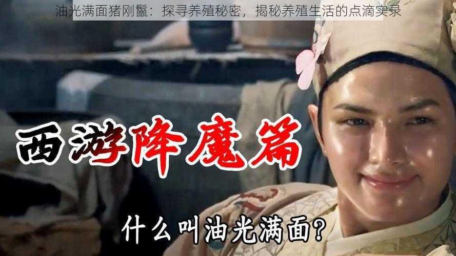 油光满面猪刚鬣:探寻养殖秘密,揭秘养殖生活的点滴实录