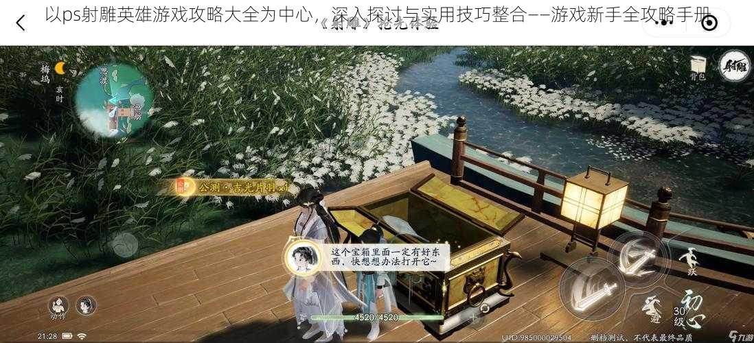 以ps射雕英雄游戏攻略大全为中心,深入探讨与实用技巧整合——游戏新手全攻略手册