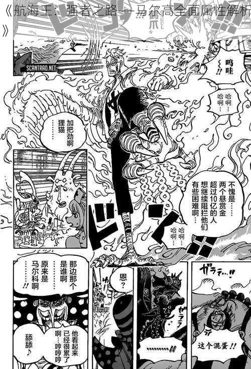 《航海王:强者之路——马尔高全面属性解析》