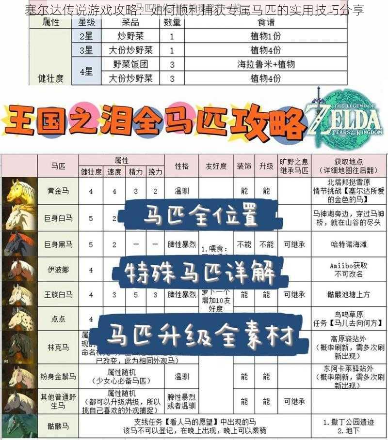 塞尔达传说游戏攻略:如何顺利捕获专属马匹的实用技巧分享