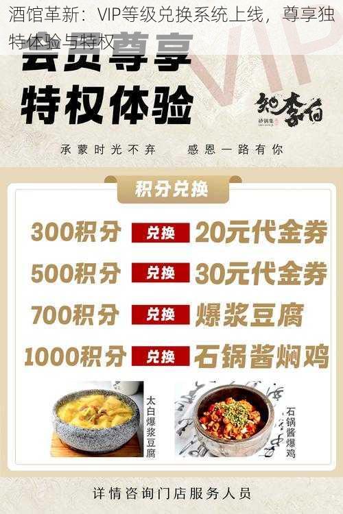 酒馆革新:VIP等级兑换系统上线,尊享独特体验与特权