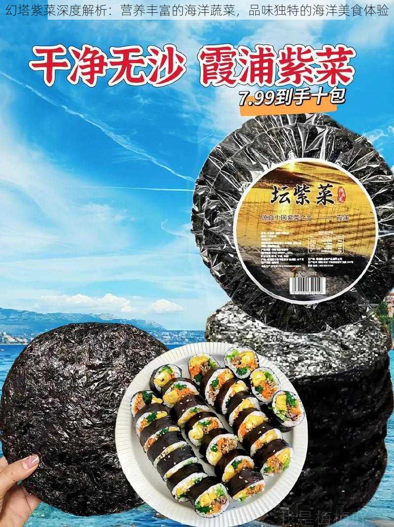 幻塔紫菜深度解析:营养丰富的海洋蔬菜,品味独特的海洋美食体验