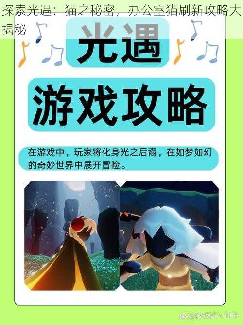 探索光遇:猫之秘密,办公室猫刷新攻略大揭秘