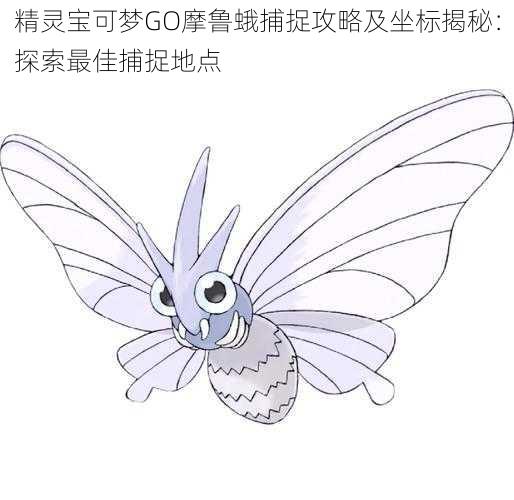 精灵宝可梦GO摩鲁蛾捕捉攻略及坐标揭秘:探索最佳捕捉地点