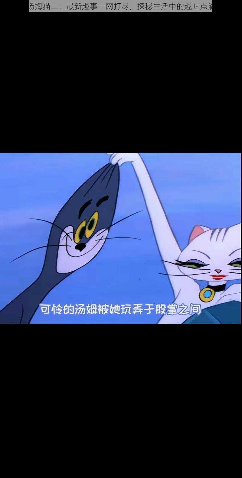 汤姆猫二:最新趣事一网打尽,探秘生活中的趣味点滴